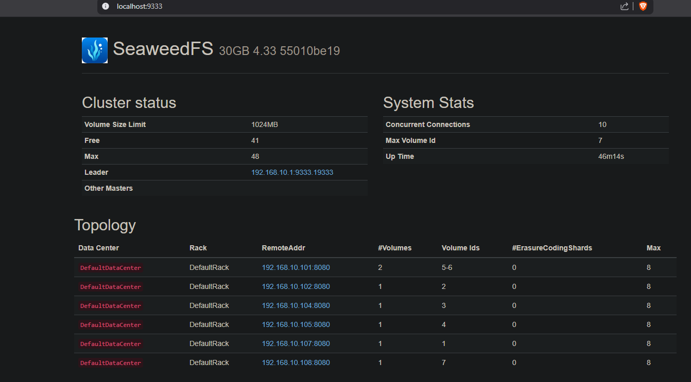 SeaweedFS Dashboard